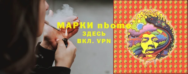 гидропоника Гусь-Хрустальный